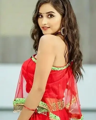 Escort In Udaipurwati